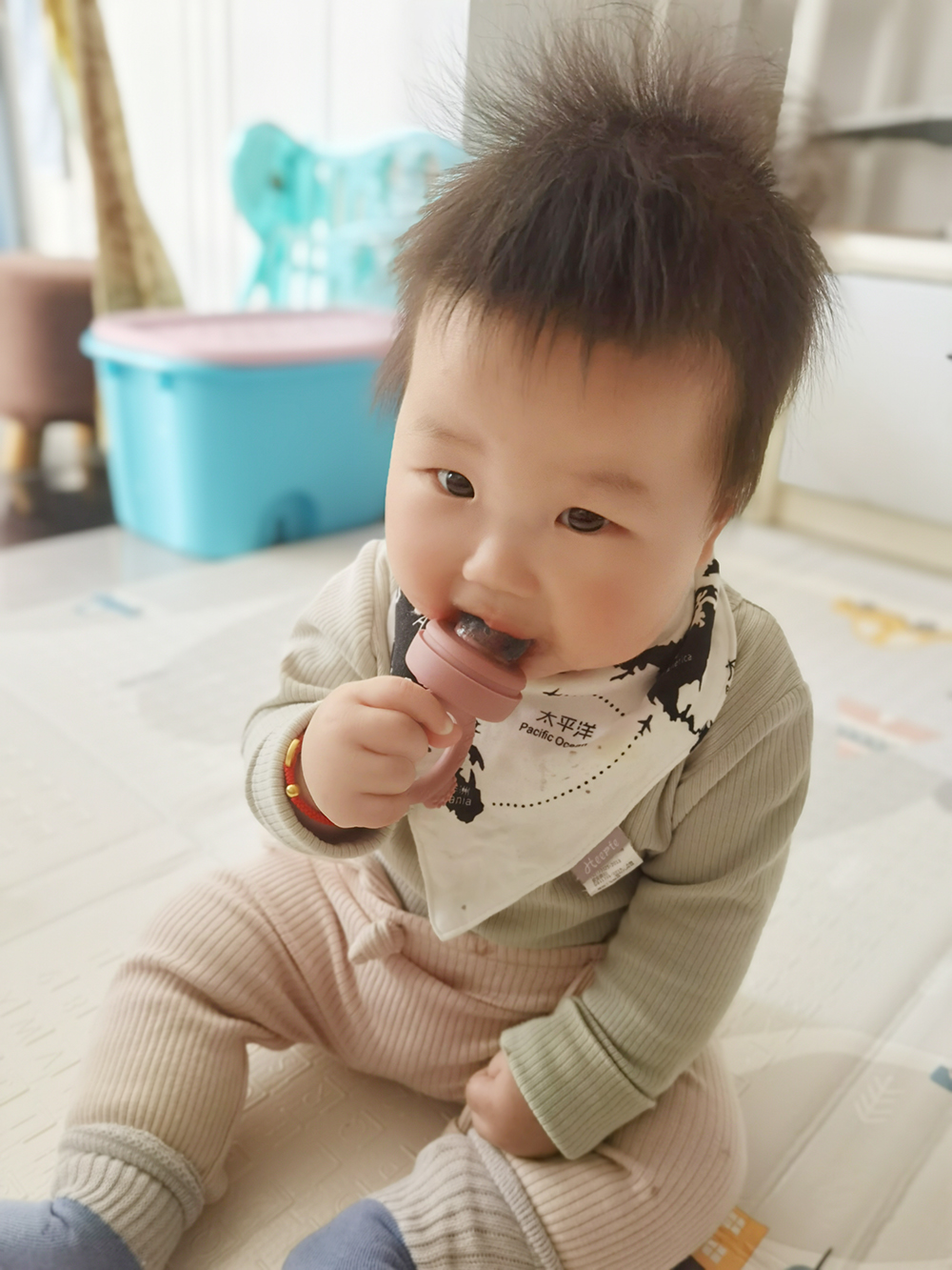 New Baby Food Grade Silica Gel - Baby Food Vegetables 评论和价格